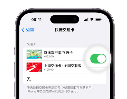 安国apple维修点分享iPhone上更换Apple Pay快捷交通卡手绘卡面 