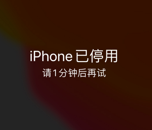 安国苹果手机维修分享:iPhone 显示“不可用”或“已停用”怎么办？还能保留数据吗？ 