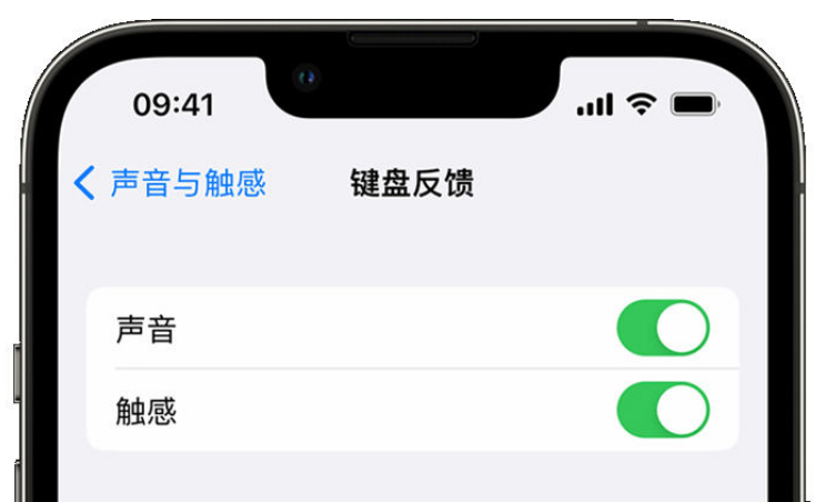 安国苹果手机维修分享iPhone 14触感键盘使用方法 