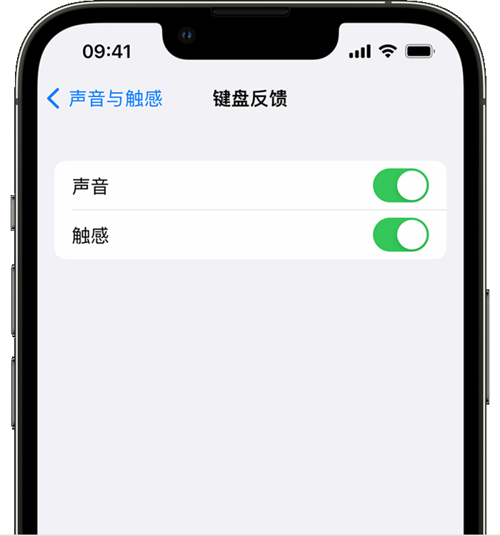 安国苹果14维修店分享如何在 iPhone 14 机型中使用触感键盘 