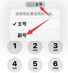 安国苹果14维修店分享iPhone 14 Pro Max使用副卡打电话的方法 