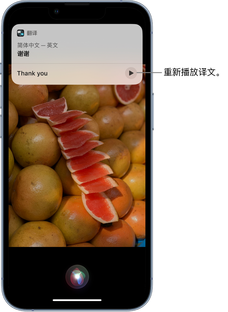 安国苹果14维修分享 iPhone 14 机型中使用 Siri：了解 Siri 能帮你做什么 