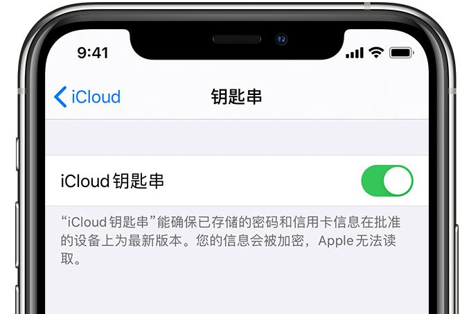 安国苹果手机维修分享在 iPhone 上开启 iCloud 钥匙串之后会储存哪些信息 