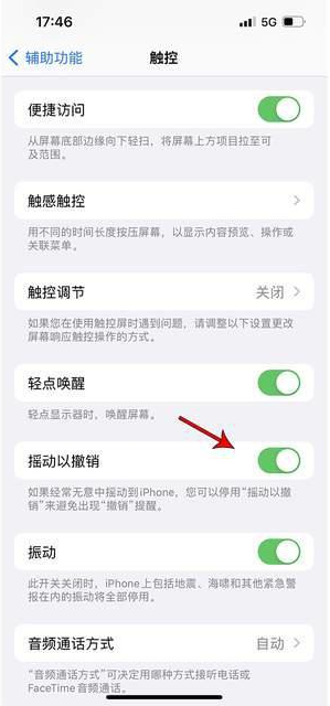 安国苹果手机维修分享iPhone手机如何设置摇一摇删除文字 