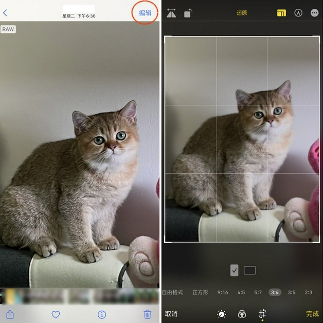 安国苹果手机维修分享苹果 iPhone 12 Pro 拍照会过度锐化 